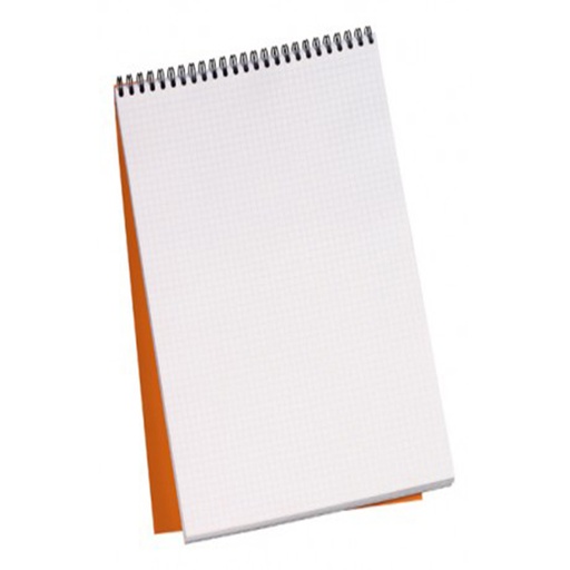 Bloc Note A5 100p 70g Panda Express